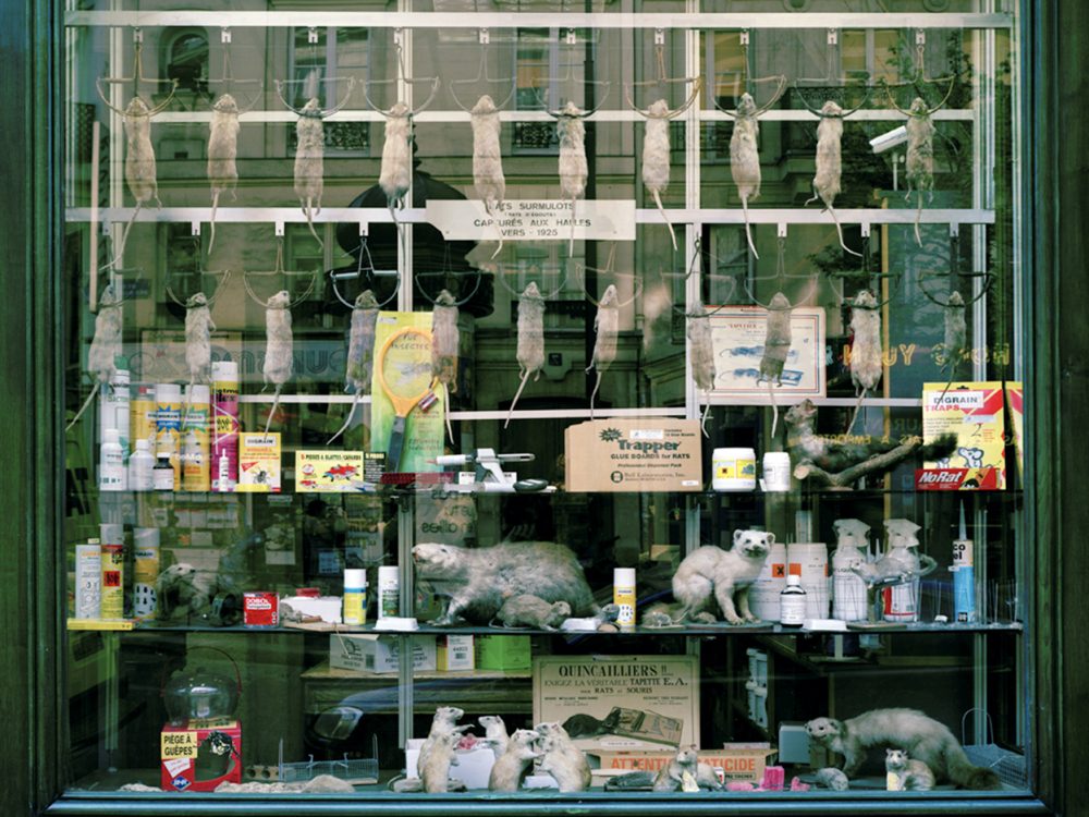 Nature morte ? – 2007